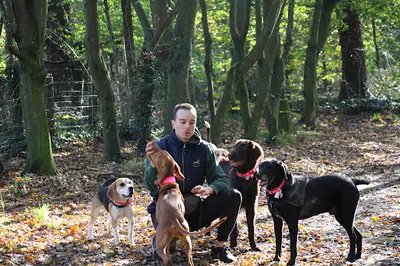 Les Chiens de Victor - Education en Ligne et Présentiel / Meute
