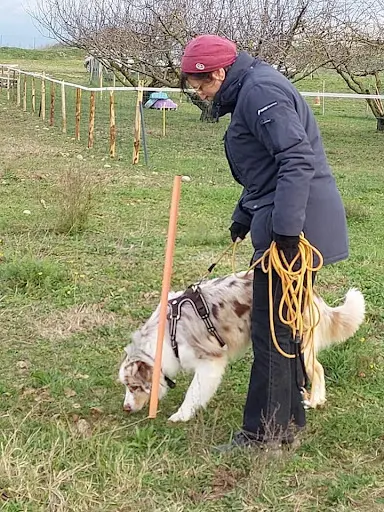 l'Empreinte d'Eko - Éducation Canine | Comportement Félin | Petsitting
