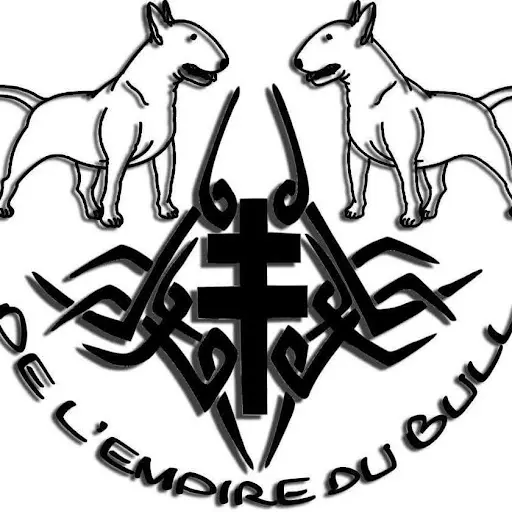 De l'Empire du Bull