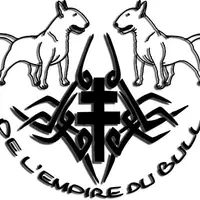 De l'Empire du Bull