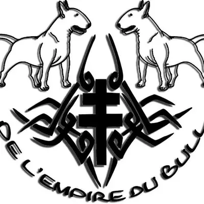De l'Empire du Bull