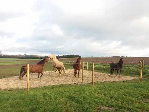 Equi-libre Paddock Paradise des Hauts-pays
