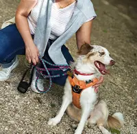 Dog Ther Happy