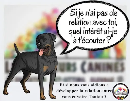 Les Couleurs Canines - Educateurs Canins et Pet-sitters