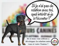 Les Couleurs Canines - Educateurs Canins et Pet-sitters