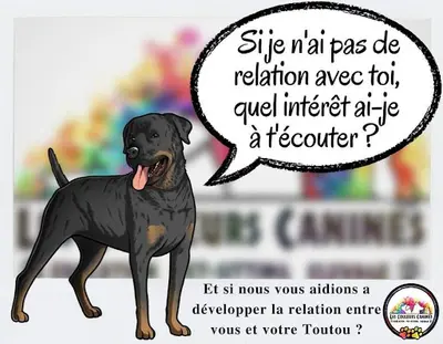Les Couleurs Canines - Educateurs Canins et Pet-sitters