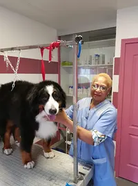 Univers Canin et Félin