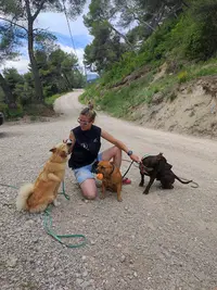 Dog Pawsitiv Training Éducation Canine Bienveillante Méthode Positive Certifiée Mfec