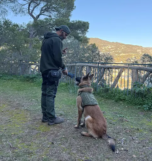 Fa et Compagnie, Éducateur Comportementaliste Canin, Éducation et Rééducation Positive