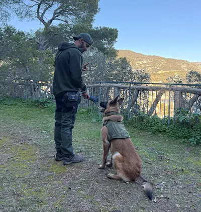 Fa et Compagnie, Éducateur Comportementaliste Canin, Éducation et Rééducation Positive
