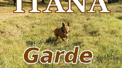 Itana Garde Animaux