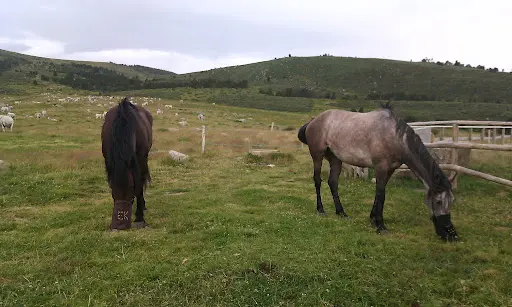 Le Ranch du Madres