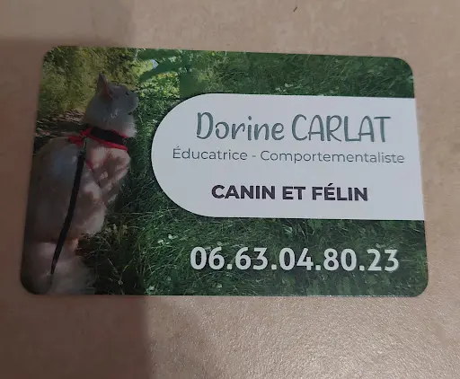 Dorine Carlat - Educatrice Canin et Félin