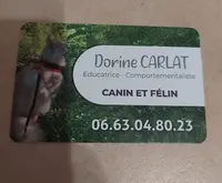 Dorine Carlat - Educatrice Canin et Félin