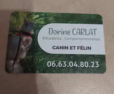 Dorine Carlat - Educatrice Canin et Félin