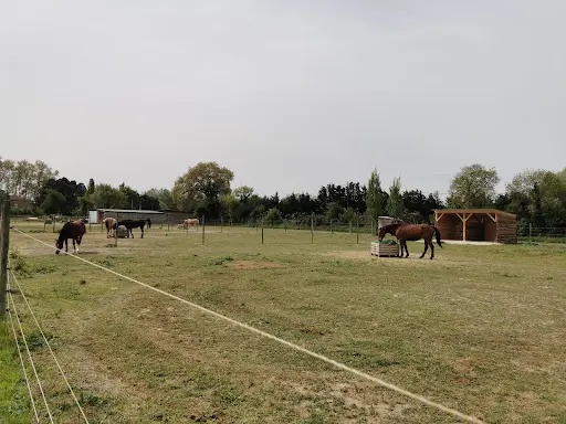 Les Ecuries de Miémart