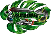 Aquastef13