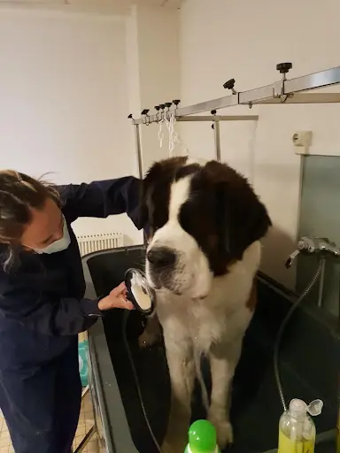 Aux Bains de Lassie