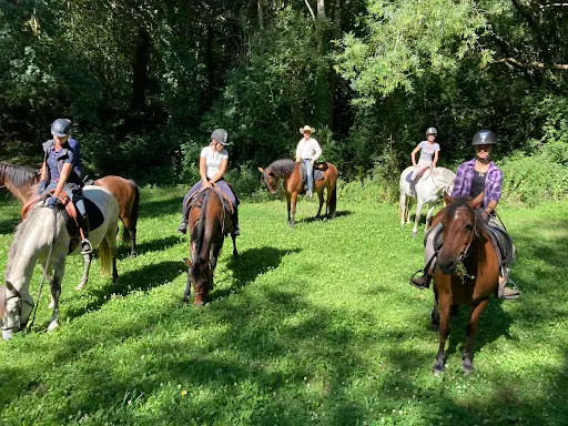 Haras du Plessis