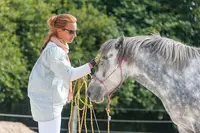 Ecole des Sens - Équitation Comportementale