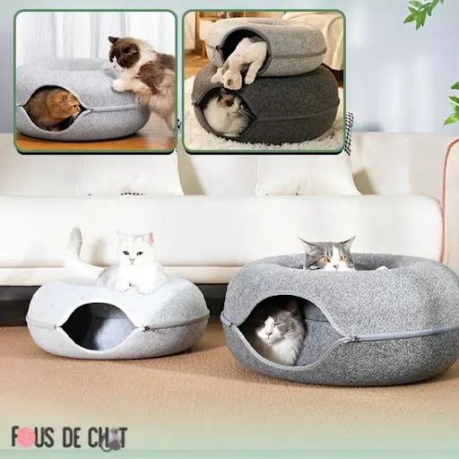 Fous de Chat