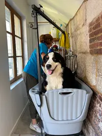 Beau Ti Chien