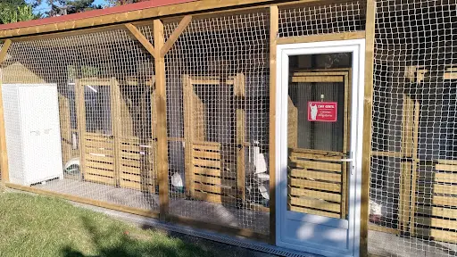 Colocat, la Colonie des Chats