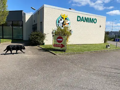 Danimo