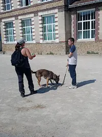 Manon Éducation Canine - A Vue d'Truffe