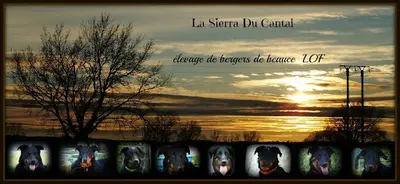 La Sierra du Cantal