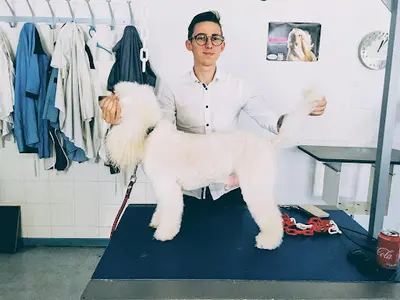 Loopy Toilettage Canin