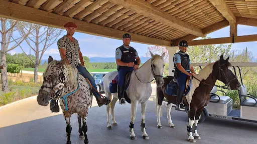 Provence Hipposervices