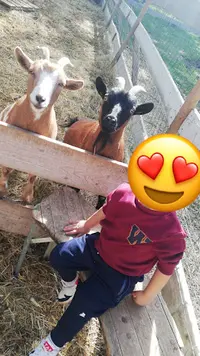 Centre Equestre Magali