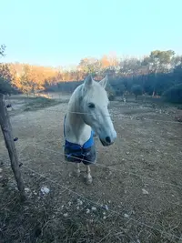 Les Écuries de Trouillas