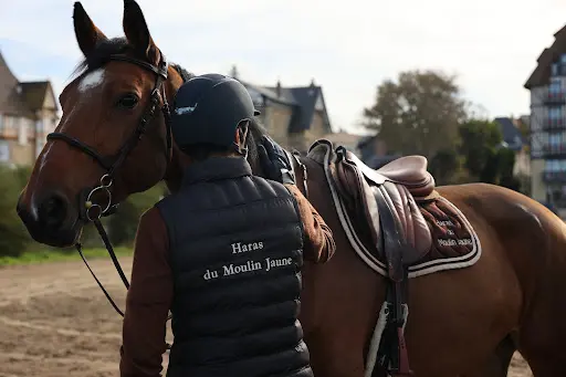 Haras du Moulin Jaune
