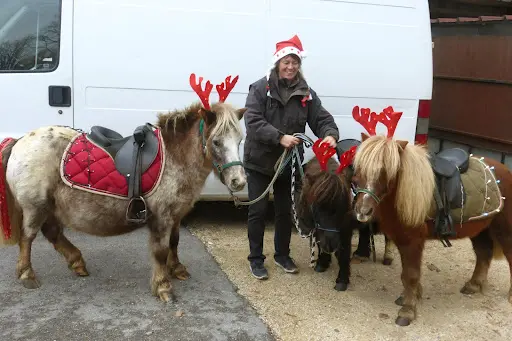 Les Poneys de Magali