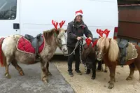 Les Poneys de Magali