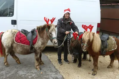 Les Poneys de Magali