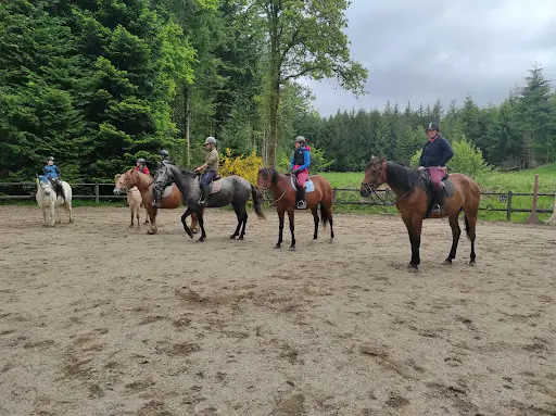Vassivière À Cheval et Gîte le Ranch de Vassivière