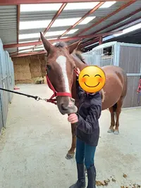 Centre Equestre de Saint-georges