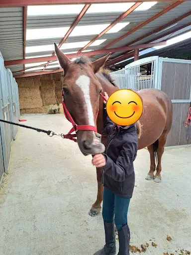 Centre Equestre de Saint-georges