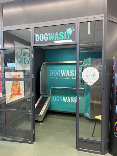Tom&co Ruaudin - Animalerie - Toilettage - Dog Wash