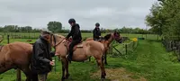 Espace Equestre Haras - Henson
