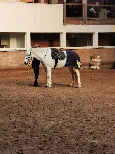 Centre Équestre de Buzenval- Poney Club Rueil Malmaison/ Écurie de Propriétaires