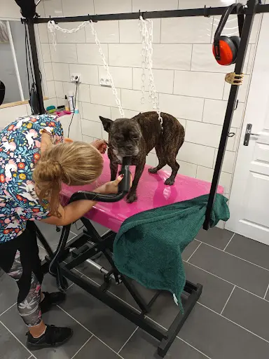 Toiletteur Animaux Topia Ruelle-sur-tourve