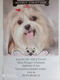 Nut Nut Toilettage