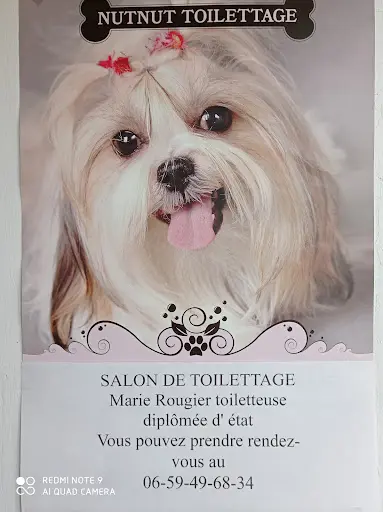 Nut Nut Toilettage