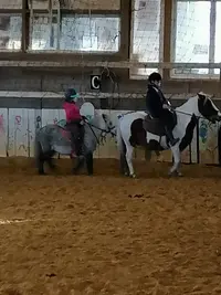 Centre Equestre de l'Epineau