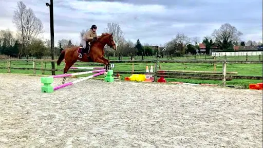 L’ecrin, Ecurie Familiale À Rumaucourt