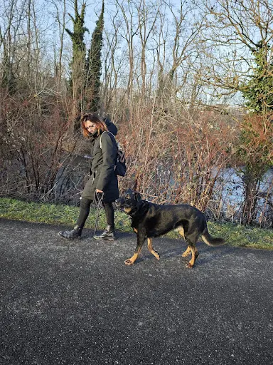 Education Canine Alsace - l'Etoile des Bergers